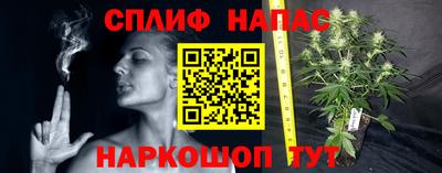 apvp Можга