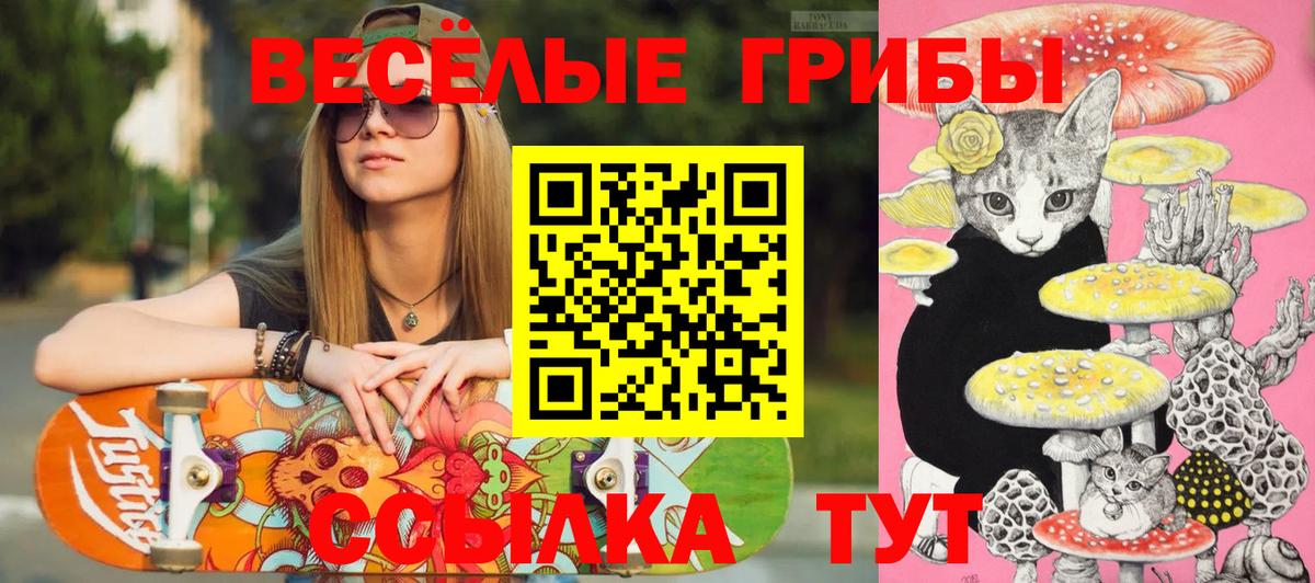 Димитровград  Псилоцибиновые грибы Magic Shrooms  Вход с VPN 